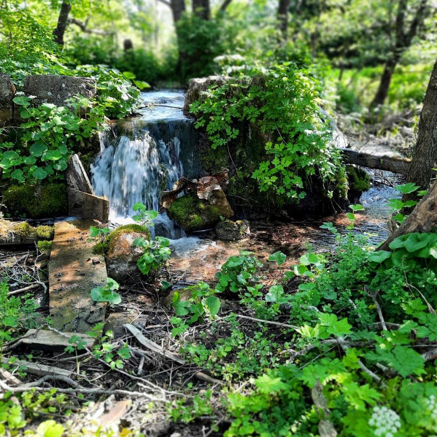 Bed and Breakfast O'Toole'S, Plitvice Korenica Exterior foto